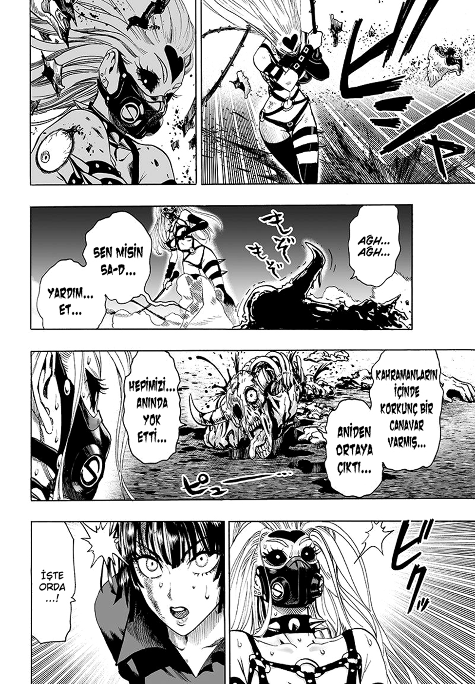 Read Tek Yumruk TR Manga Online