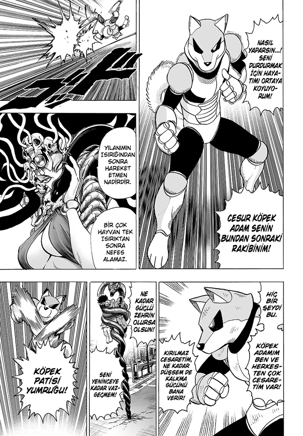 Read Tek Yumruk TR Manga Online