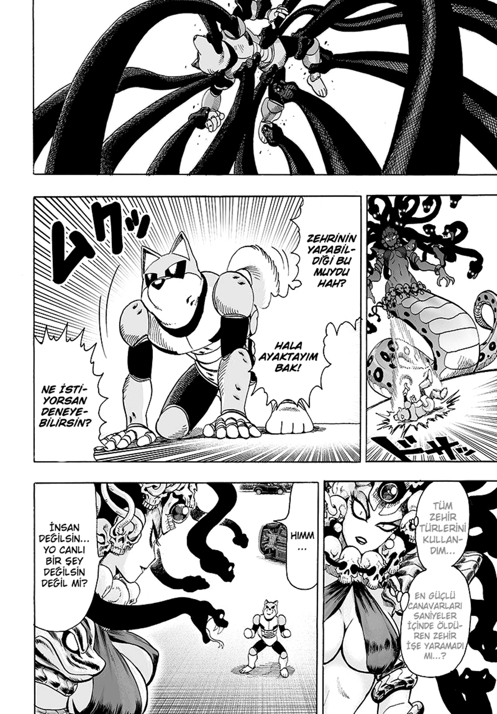 Read Tek Yumruk TR Manga Online