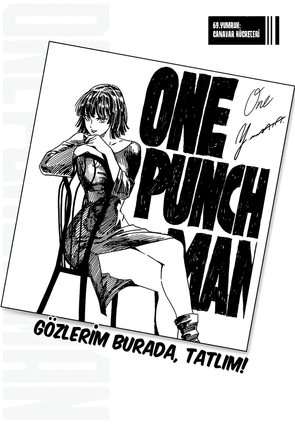 Read Tek Yumruk TR Manga Online