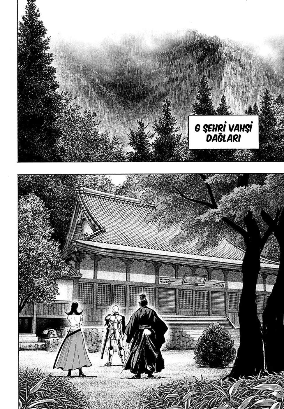 Read Tek Yumruk TR Manga Online