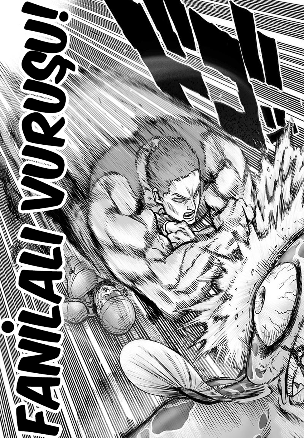 Read Tek Yumruk TR Manga Online