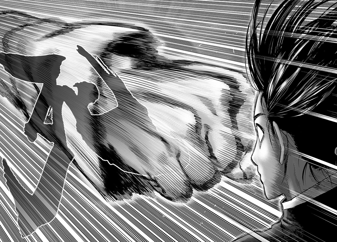 Read Tek Yumruk TR Manga Online