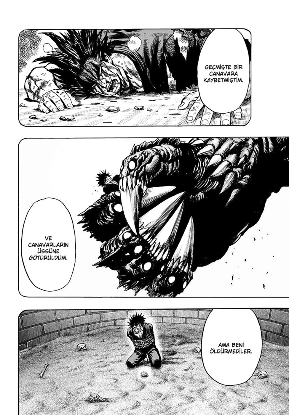 Read Tek Yumruk TR Manga Online