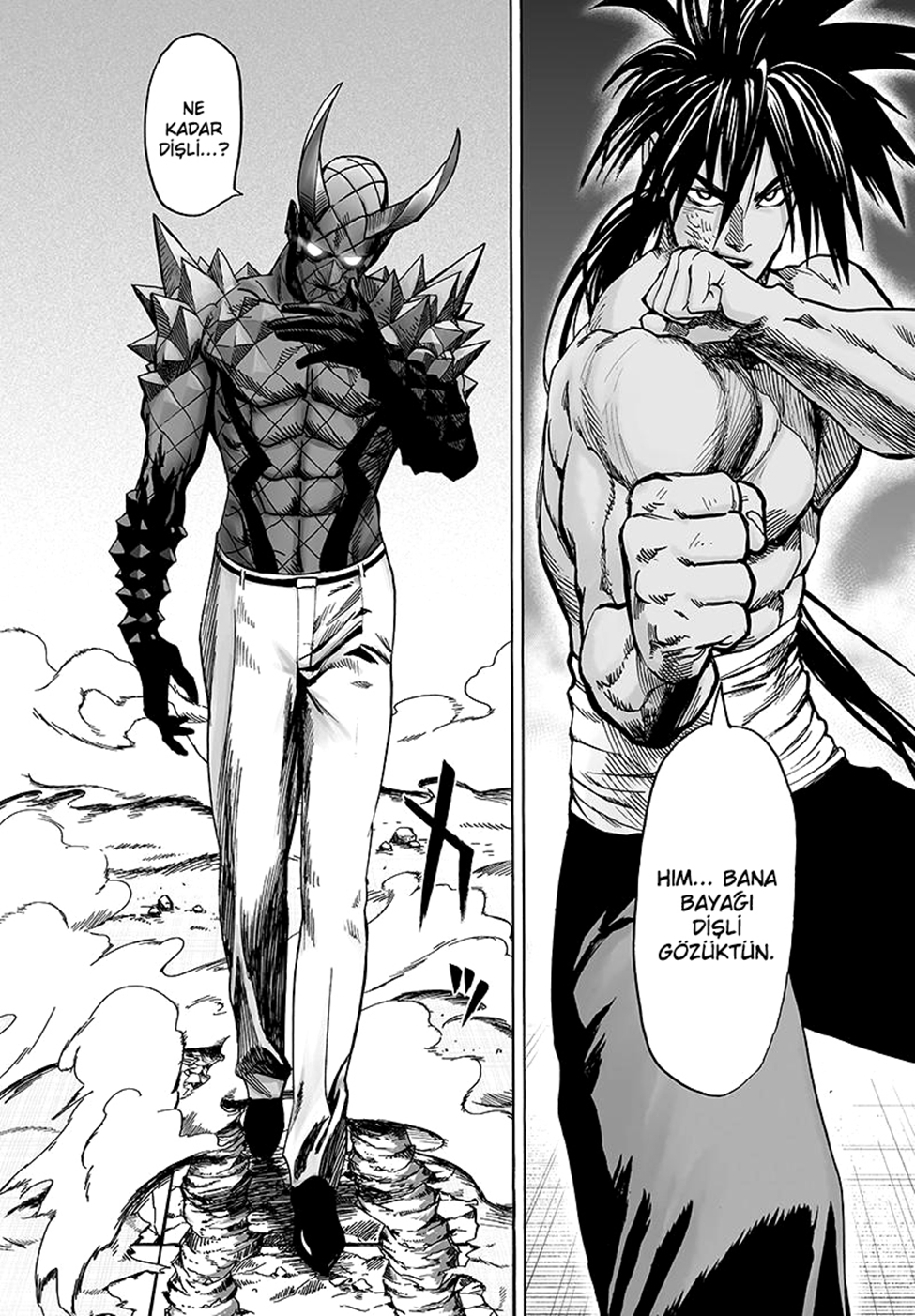 Read Tek Yumruk TR Manga Online