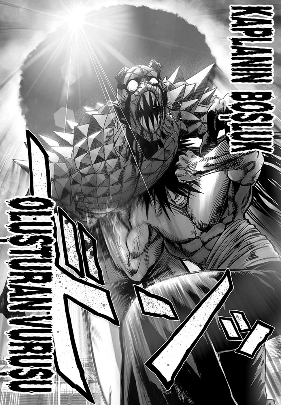 Read Tek Yumruk TR Manga Online