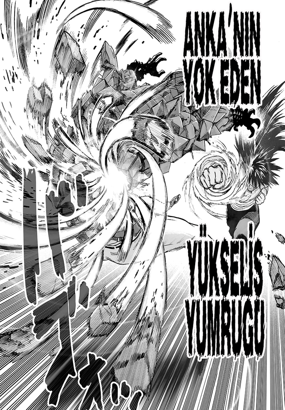 Read Tek Yumruk TR Manga Online