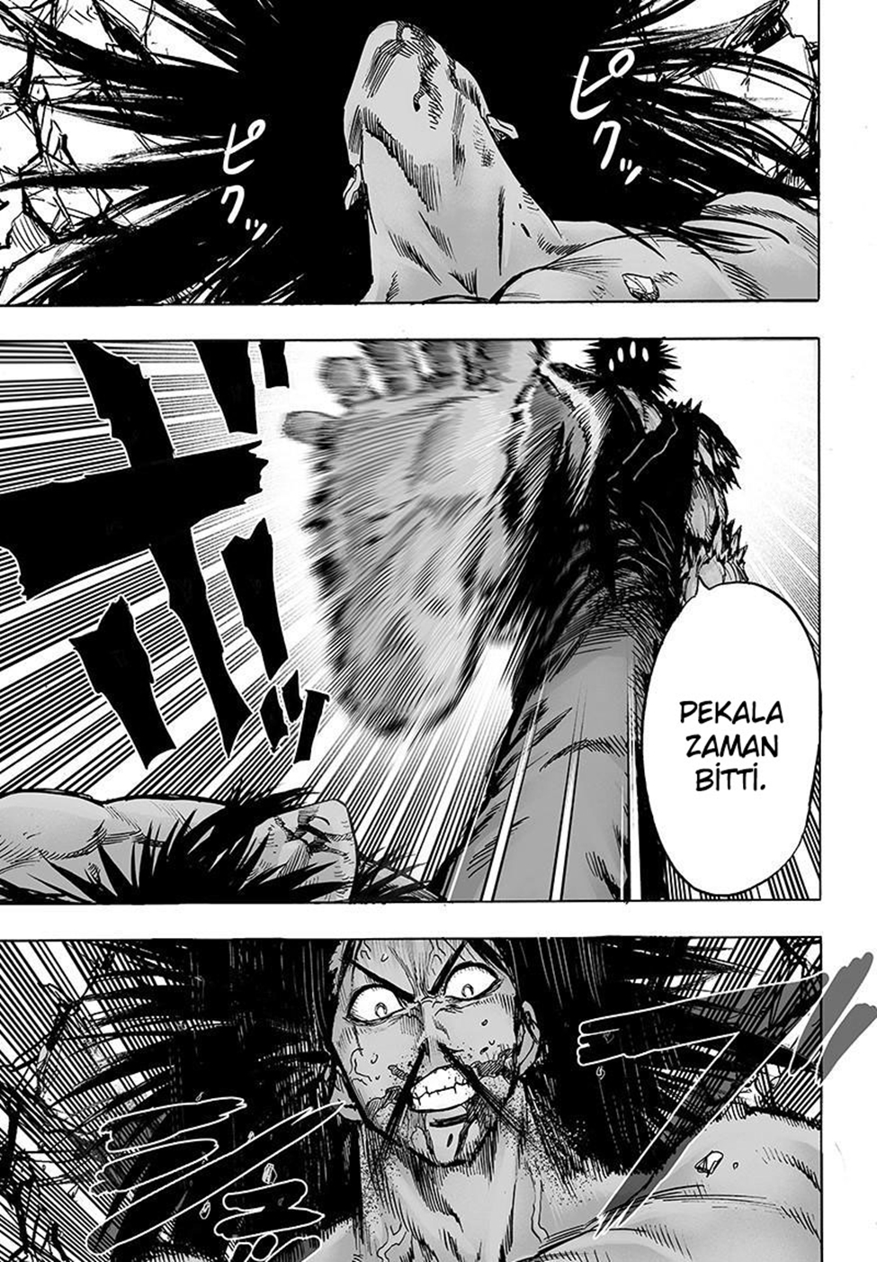 Read Tek Yumruk TR Manga Online