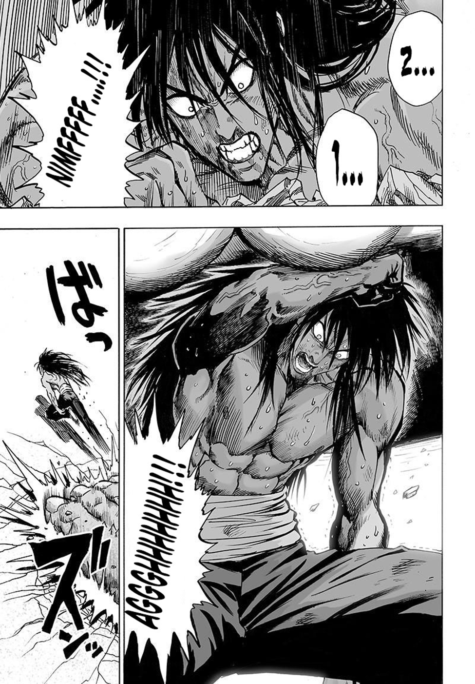 Read Tek Yumruk TR Manga Online
