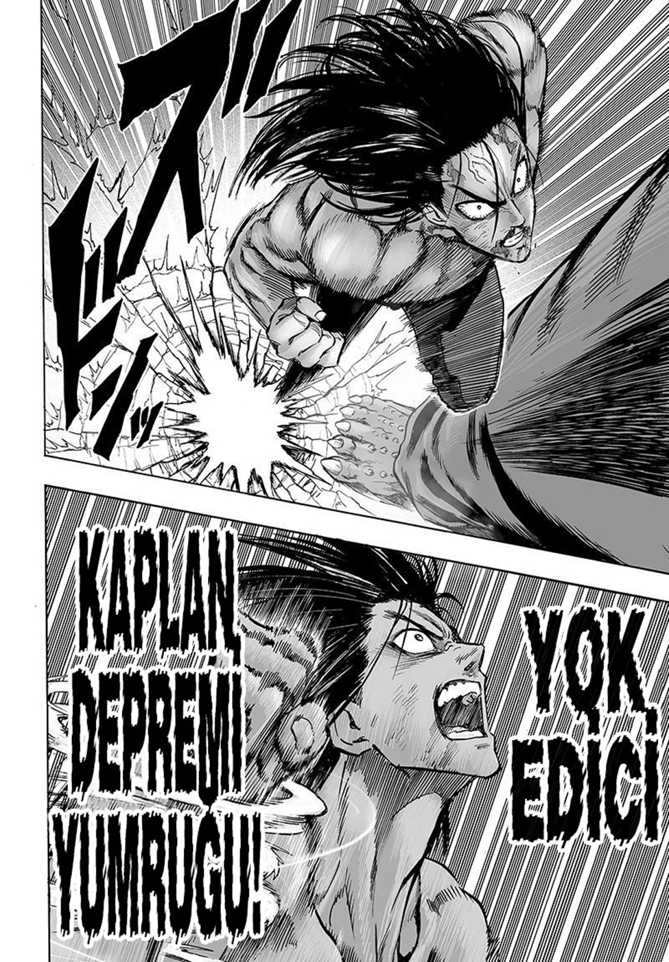 Read Tek Yumruk TR Manga Online