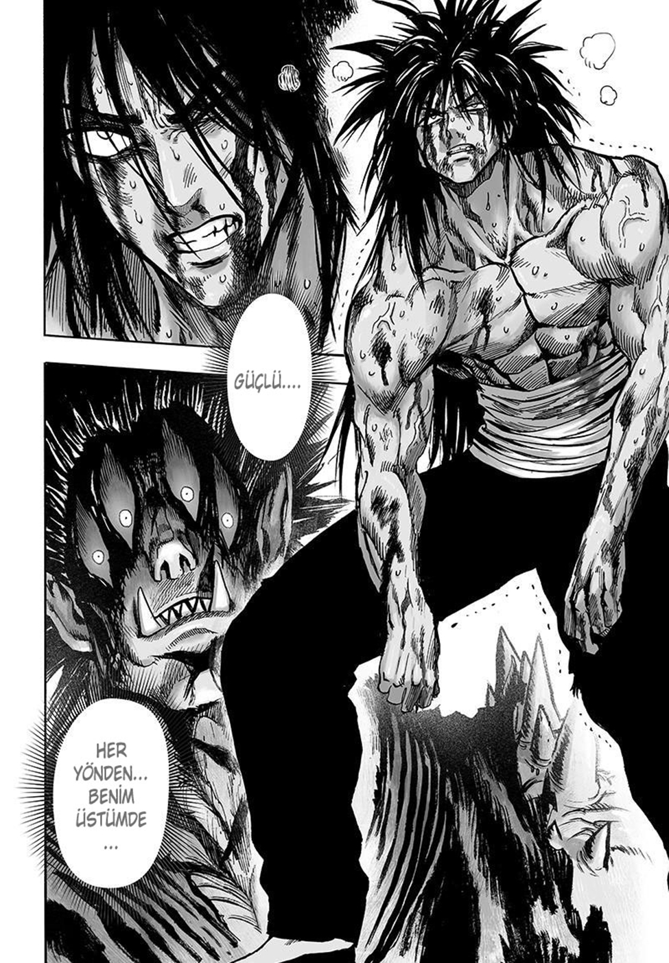 Read Tek Yumruk TR Manga Online