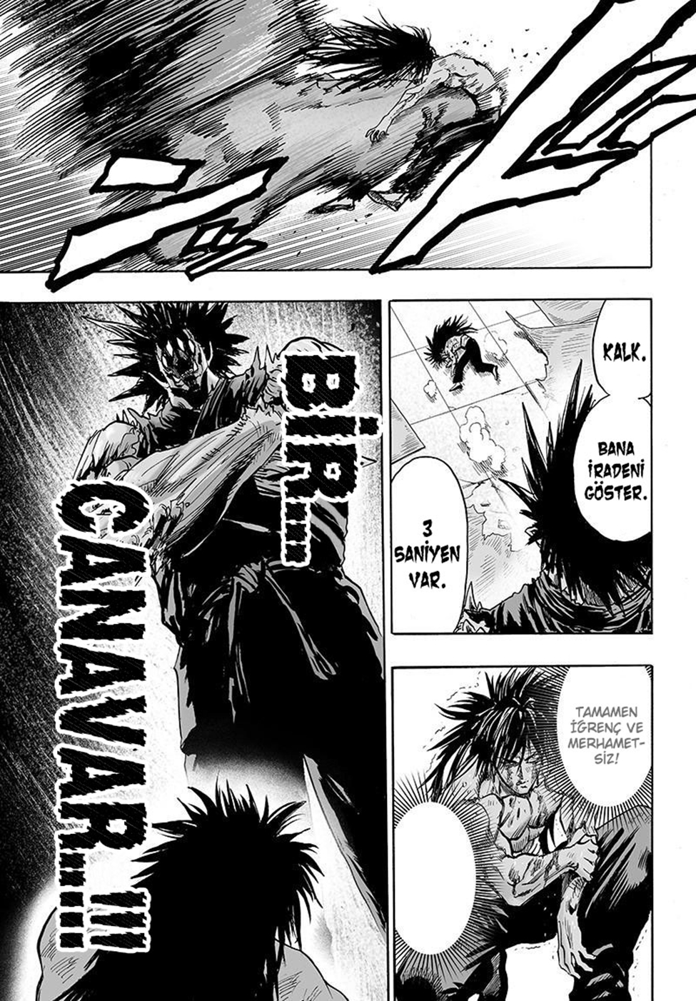 Read Tek Yumruk TR Manga Online
