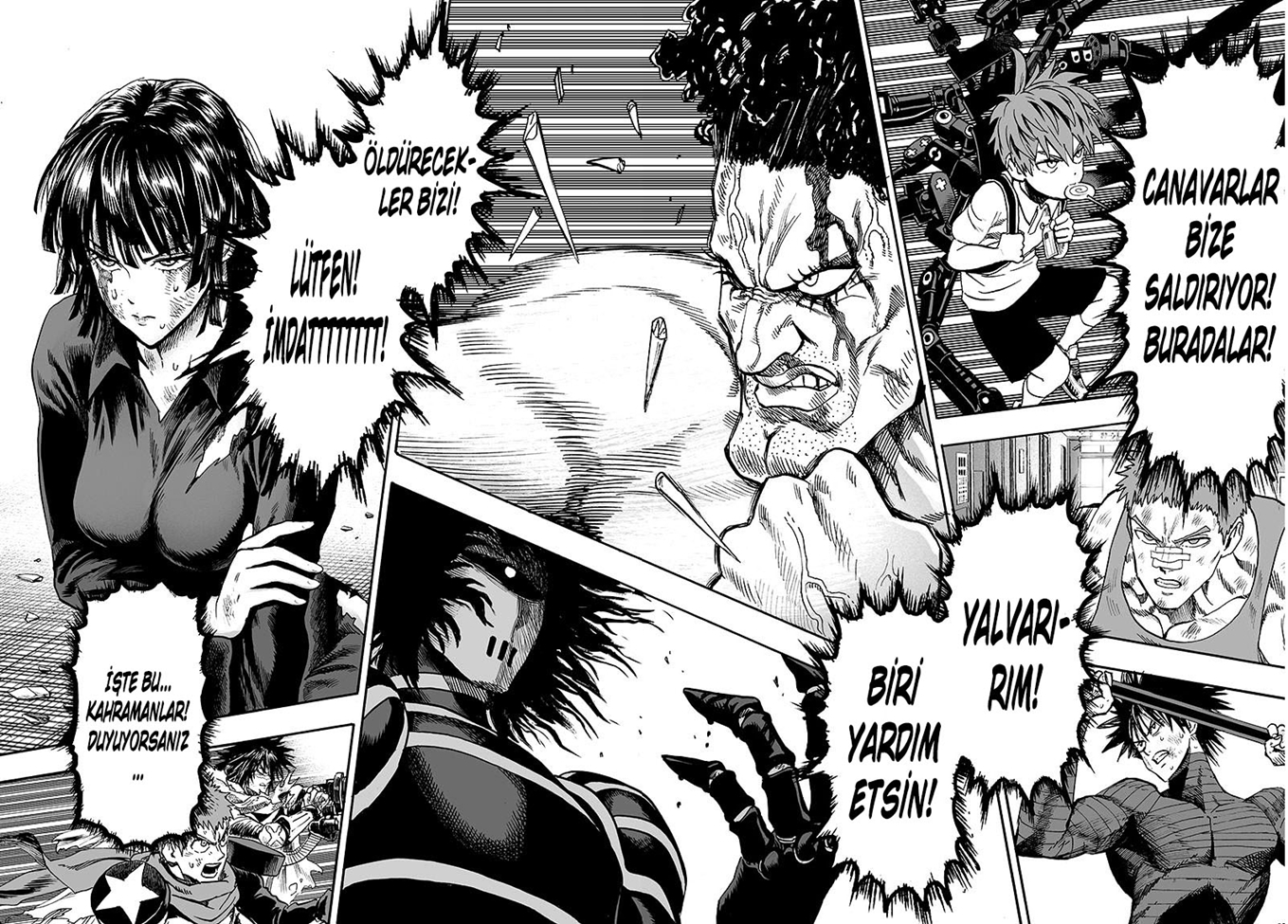 Read Tek Yumruk TR Manga Online