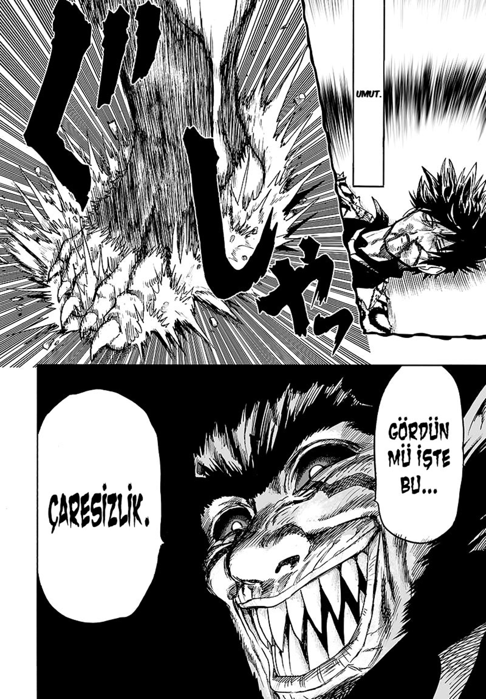 Read Tek Yumruk TR Manga Online