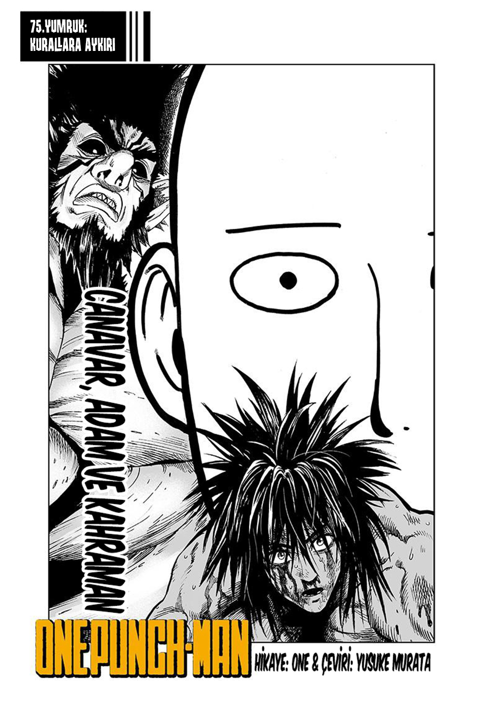 Read Tek Yumruk TR Manga Online
