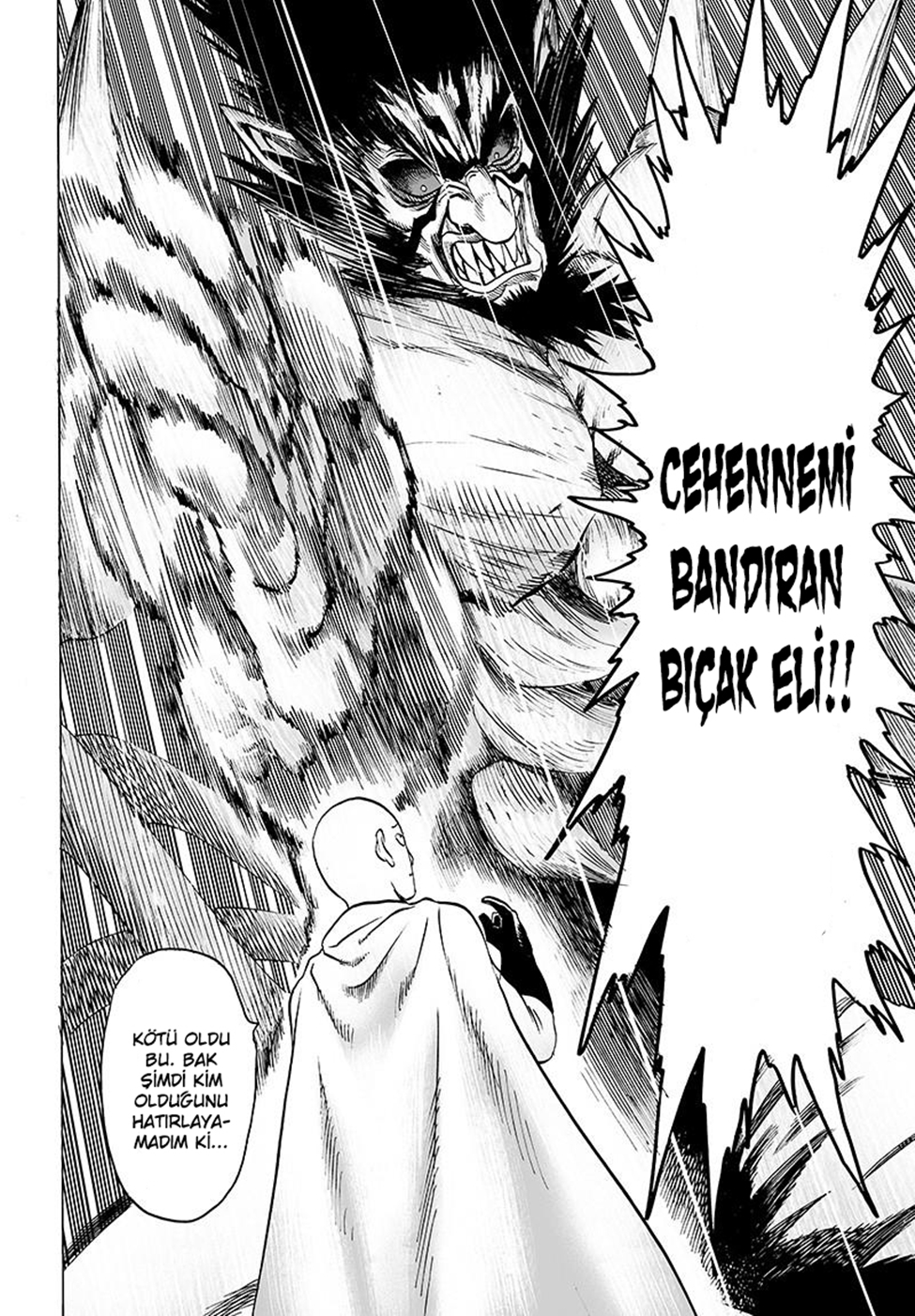 Read Tek Yumruk TR Manga Online