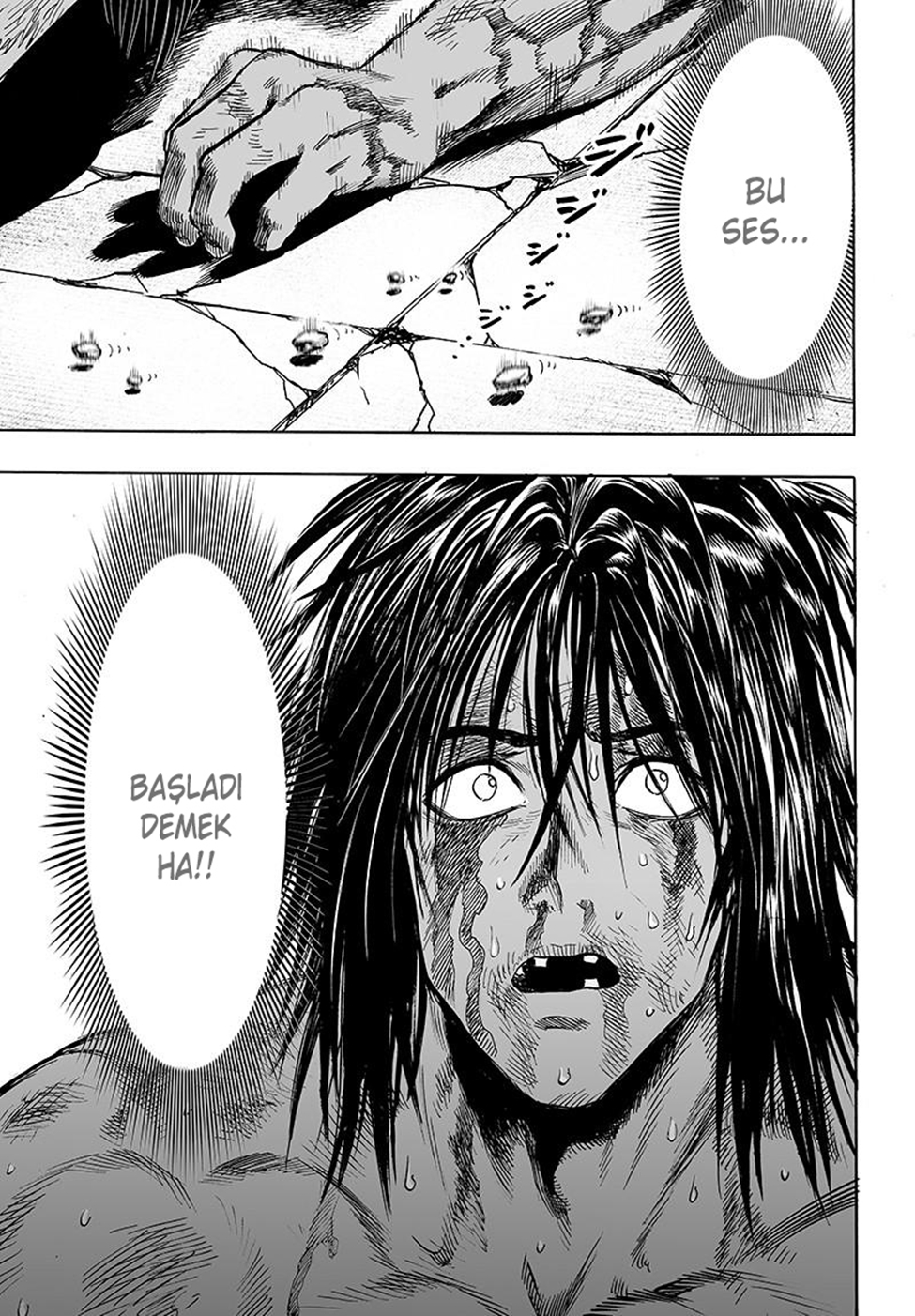 Read Tek Yumruk TR Manga Online