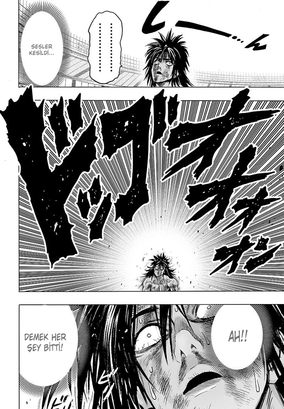 Read Tek Yumruk TR Manga Online