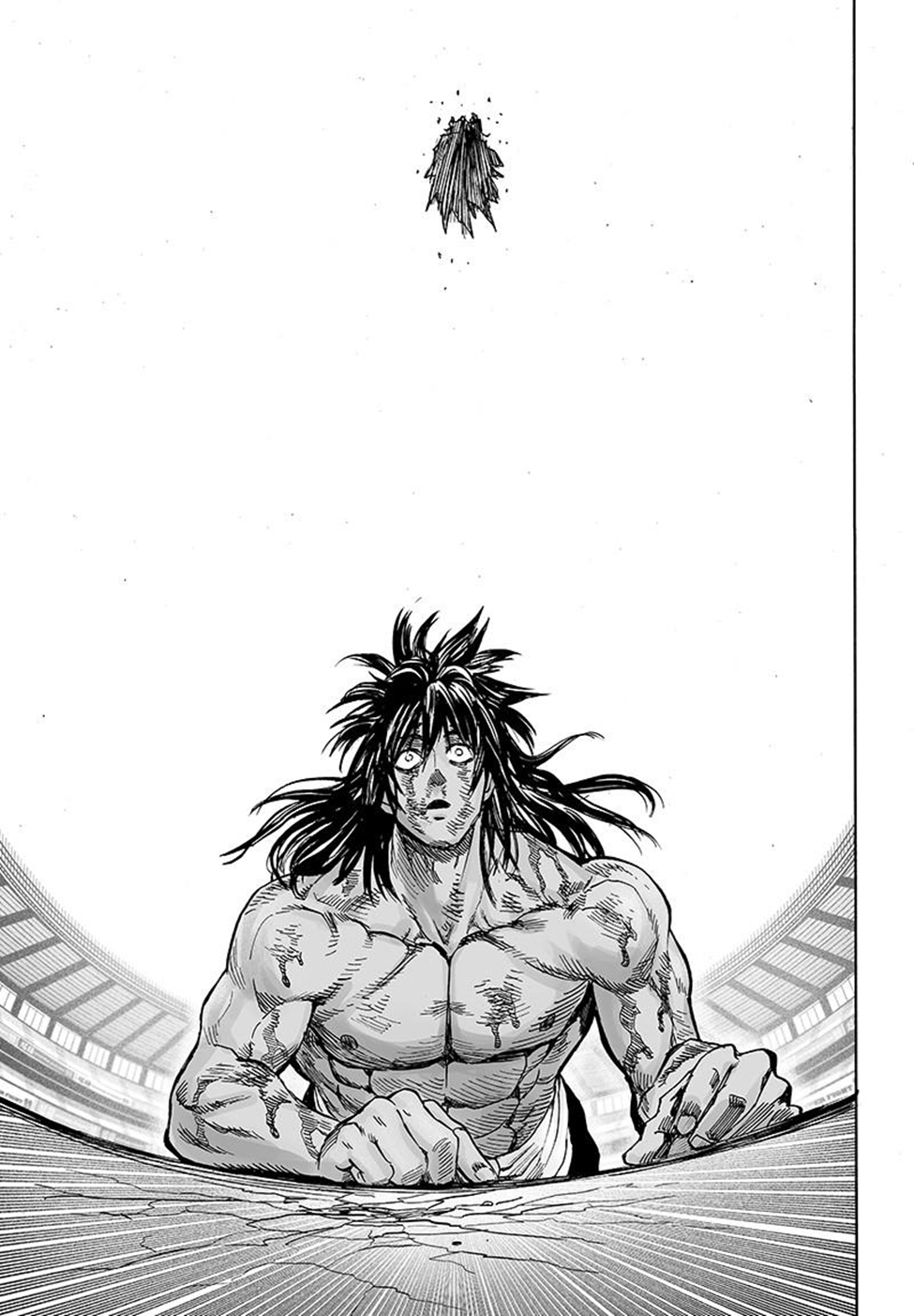 Read Tek Yumruk TR Manga Online