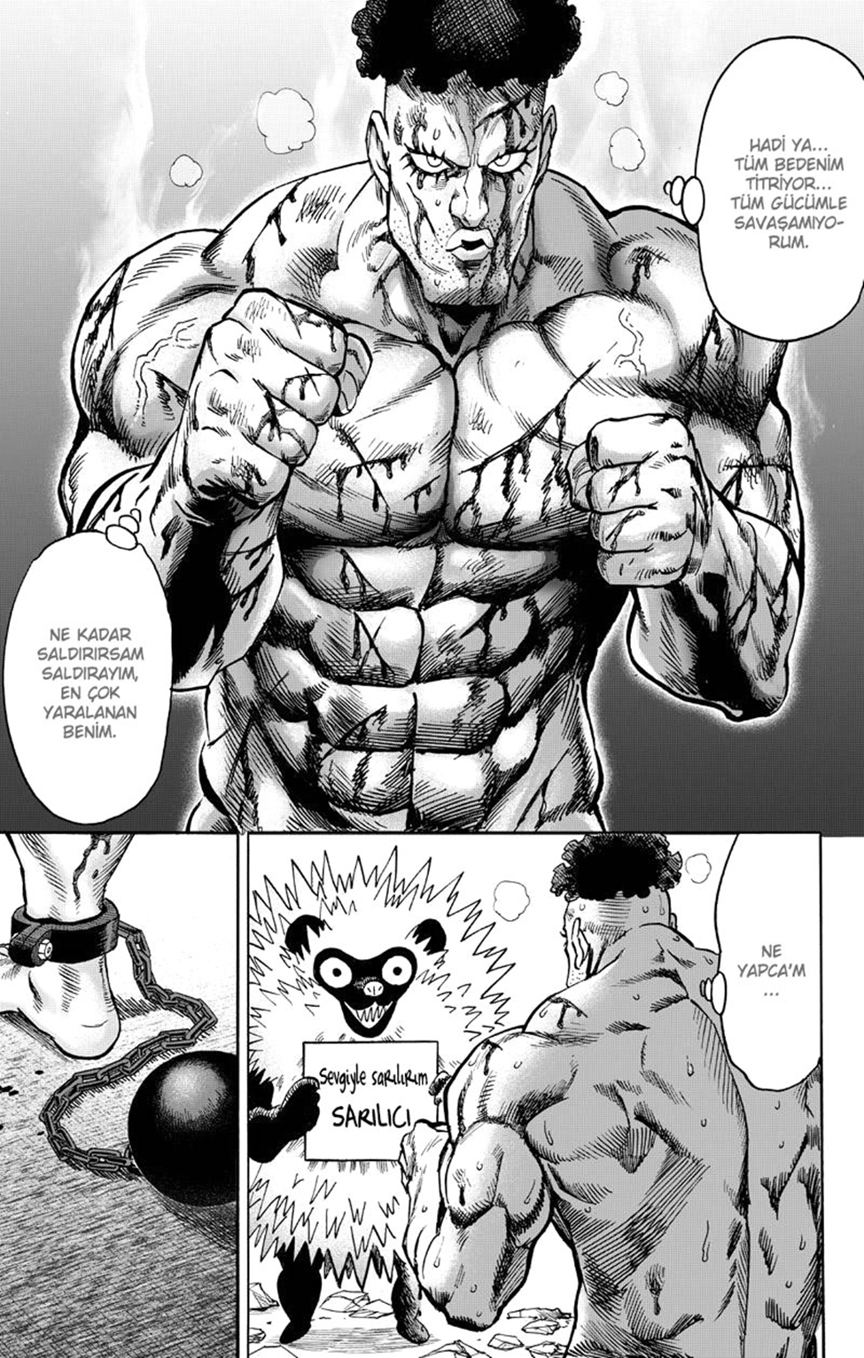 Read Tek Yumruk TR Manga Online