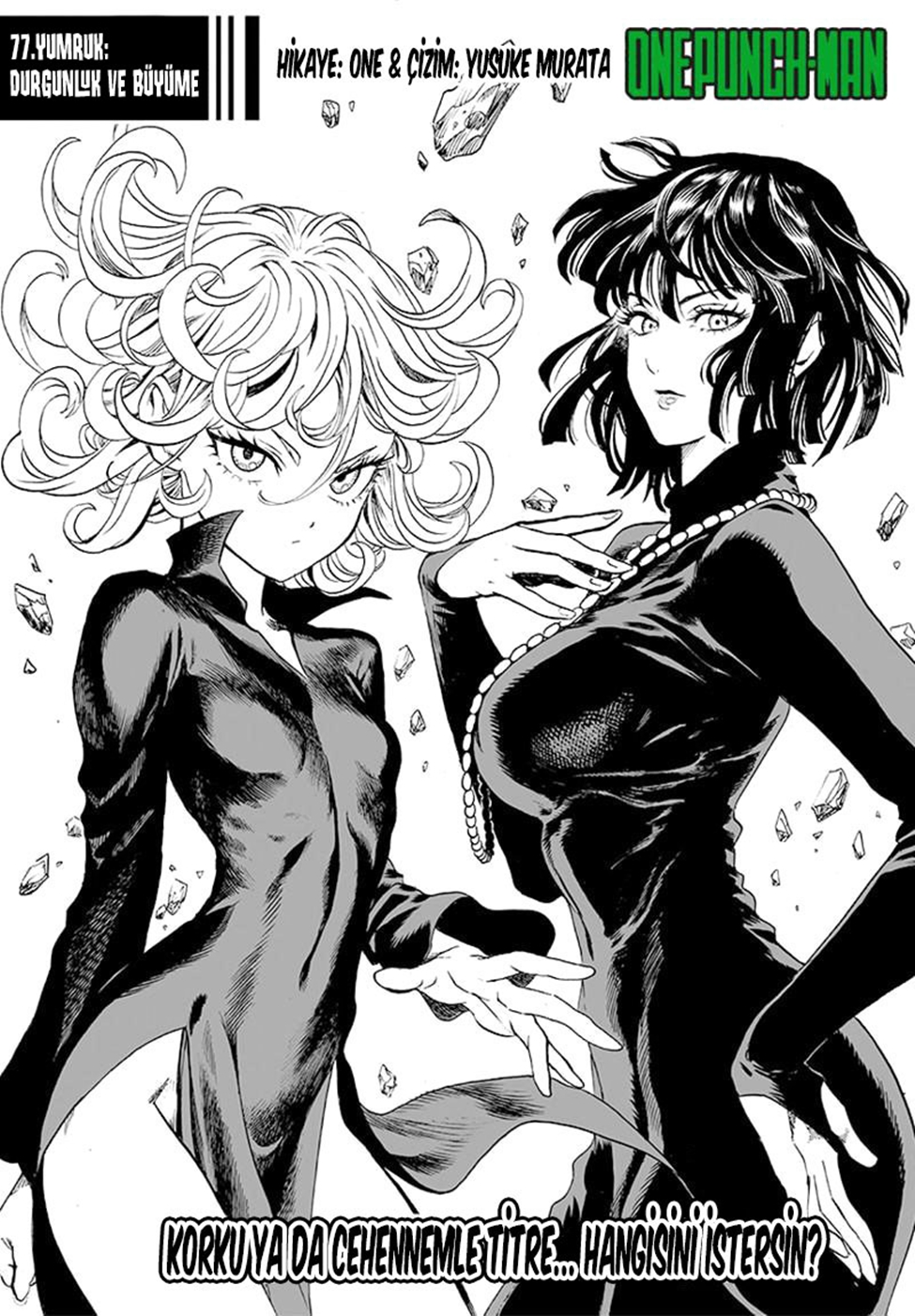 Read Tek Yumruk TR Manga Online