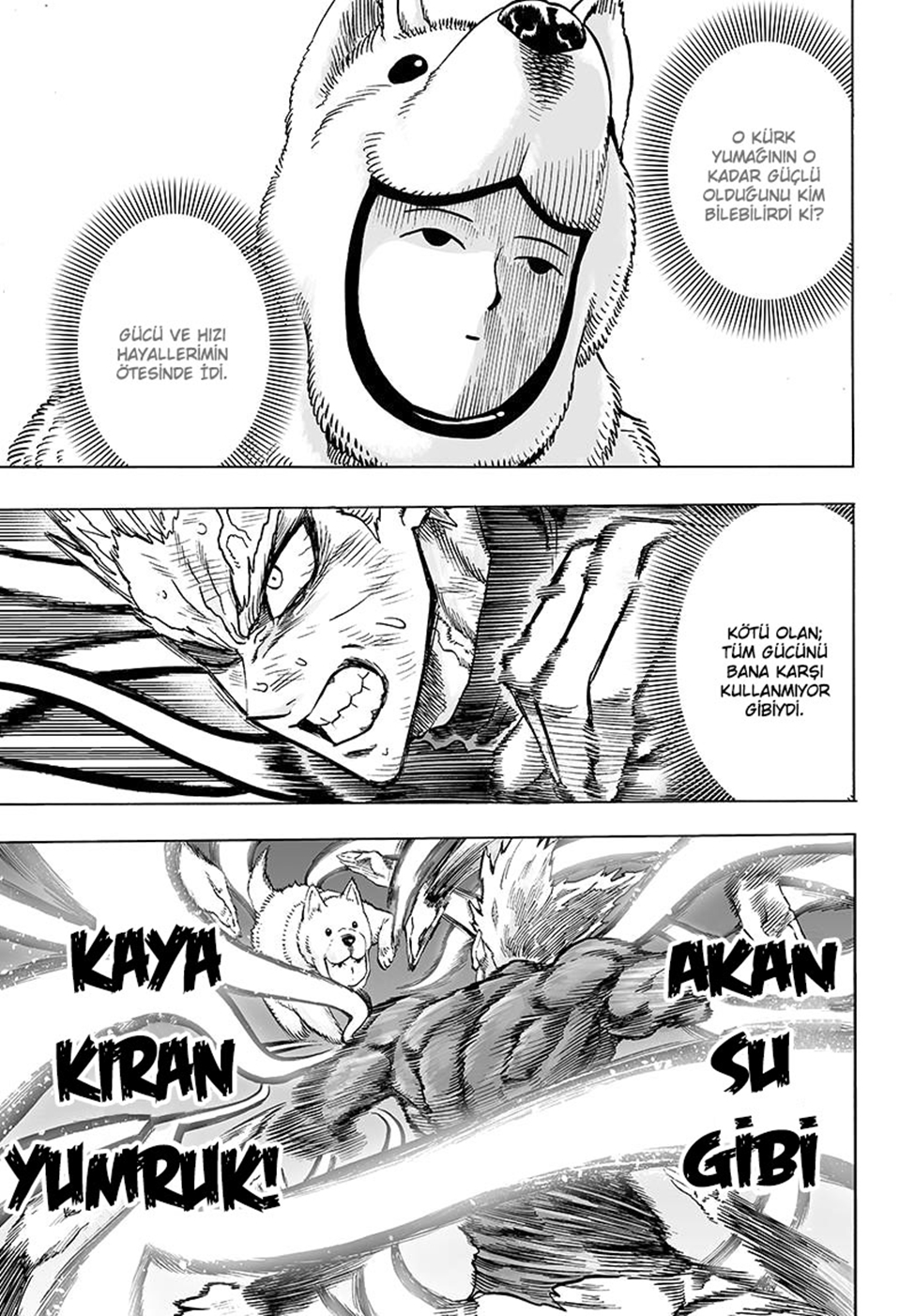 Read Tek Yumruk TR Manga Online