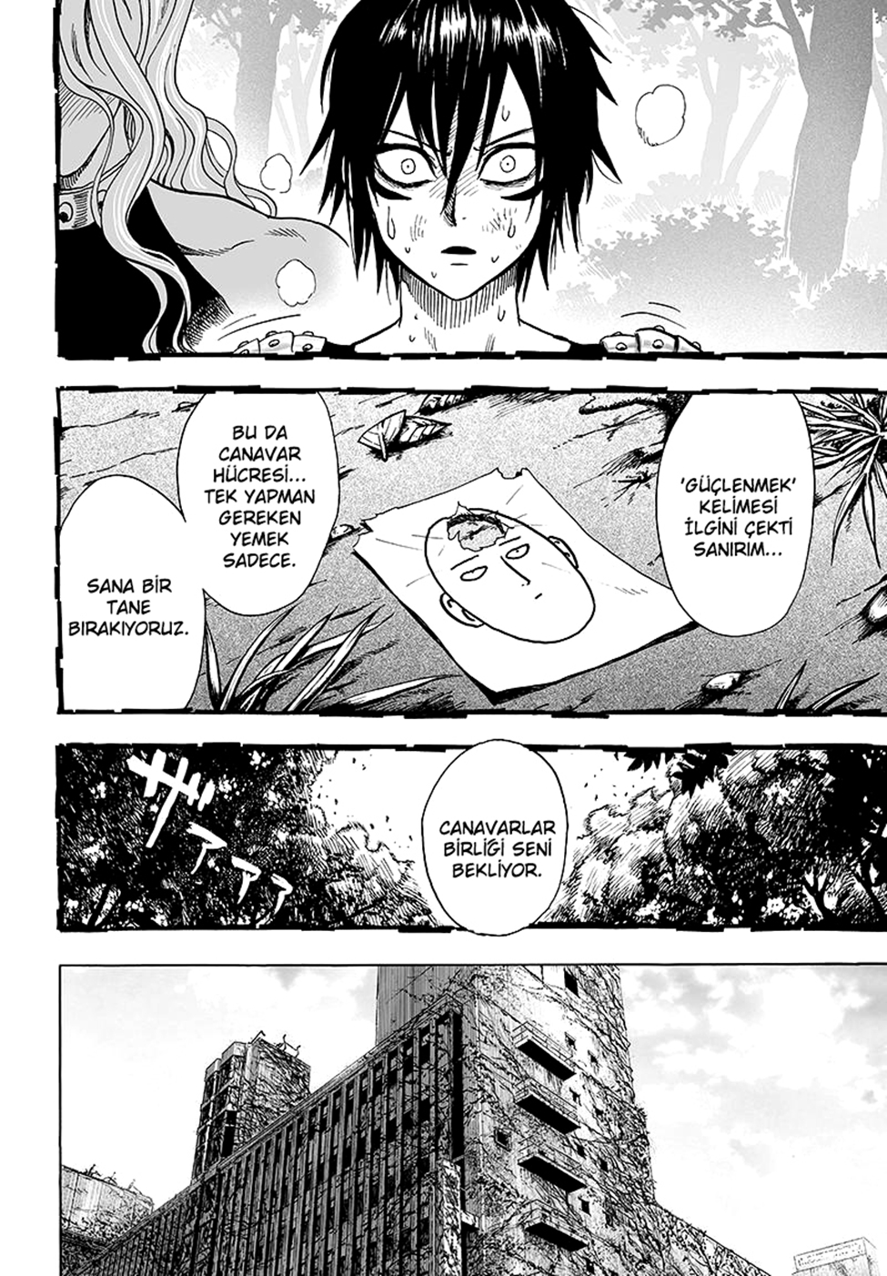 Read Tek Yumruk TR Manga Online