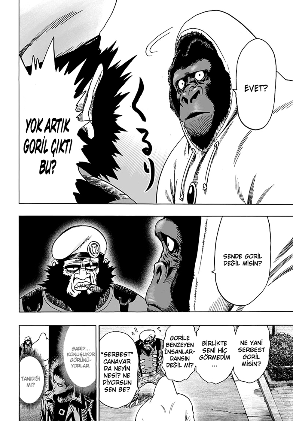 Read Tek Yumruk TR Manga Online