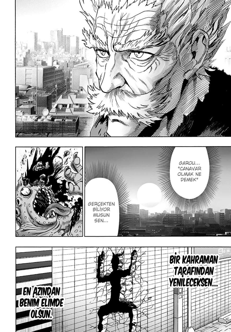Read Tek Yumruk TR Manga Online