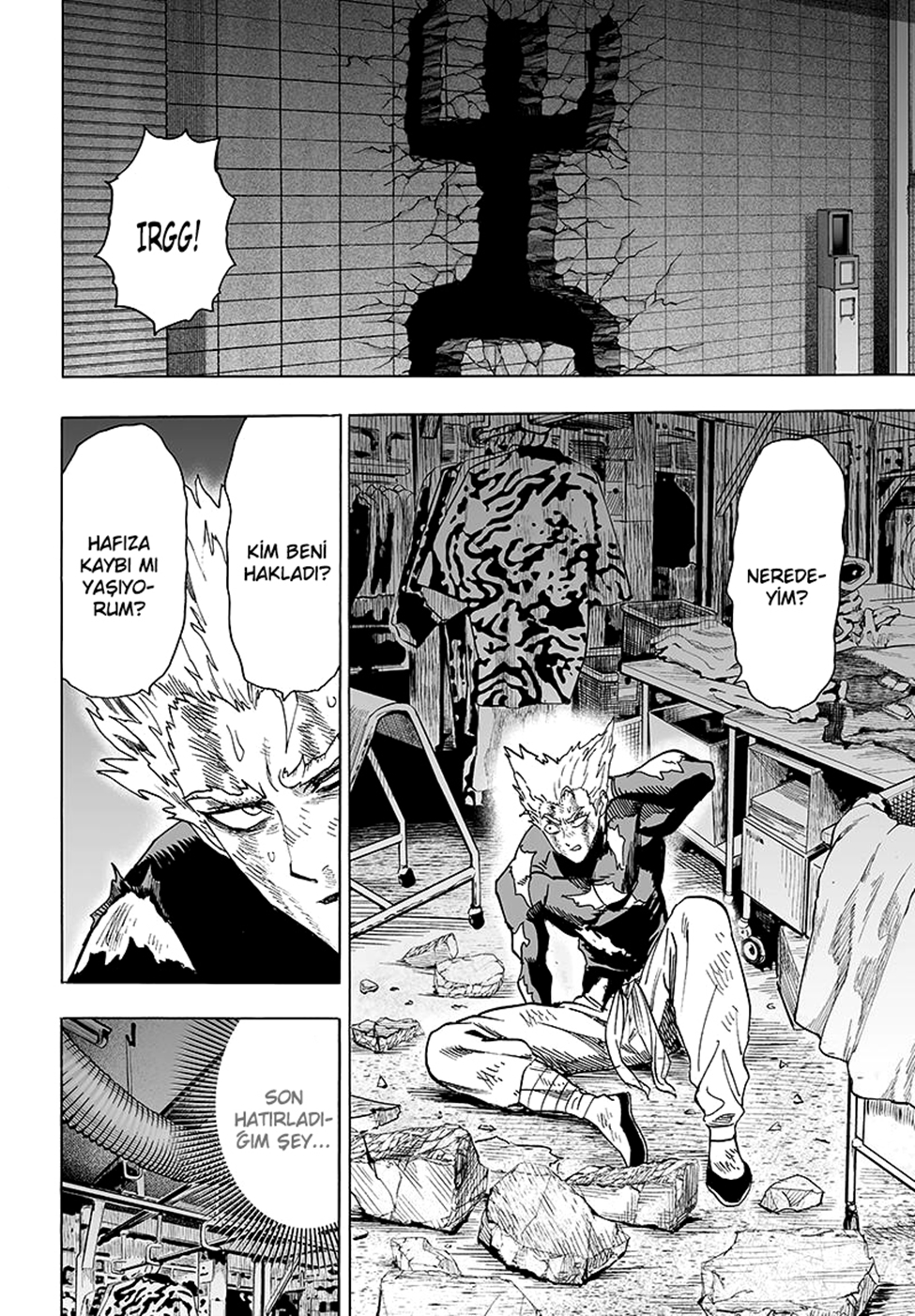 Read Tek Yumruk TR Manga Online