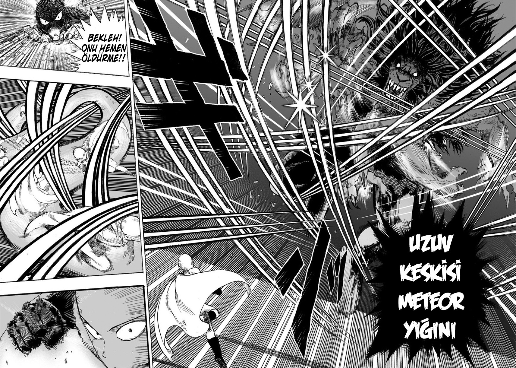 Read Tek Yumruk TR Manga Online