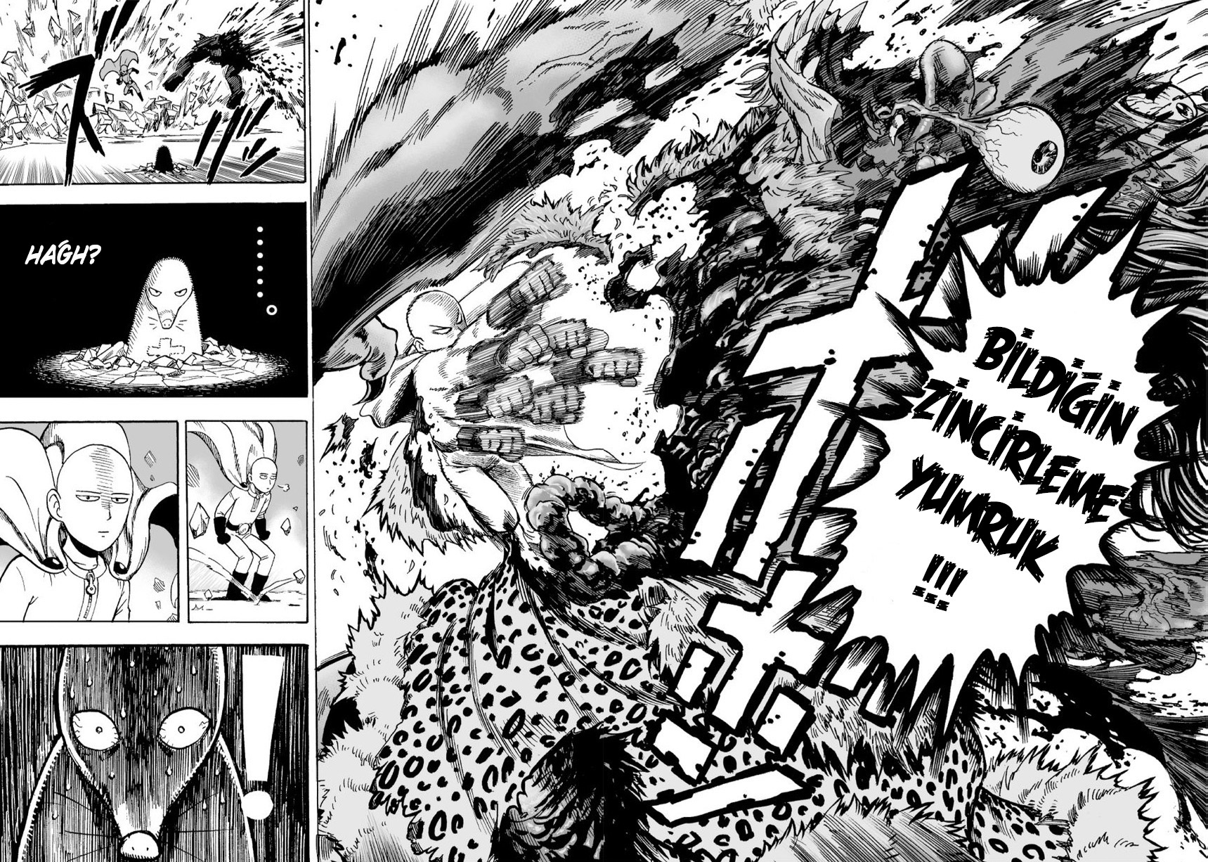 Read Tek Yumruk TR Manga Online