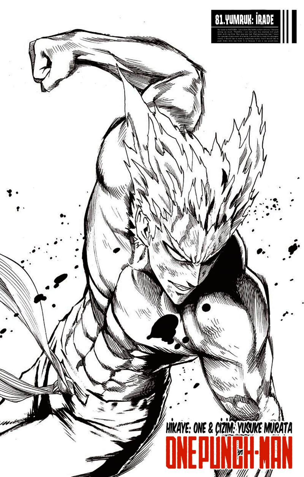 Read Tek Yumruk TR Manga Online