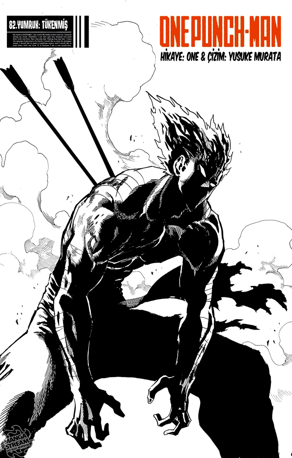 Read Tek Yumruk TR Manga Online