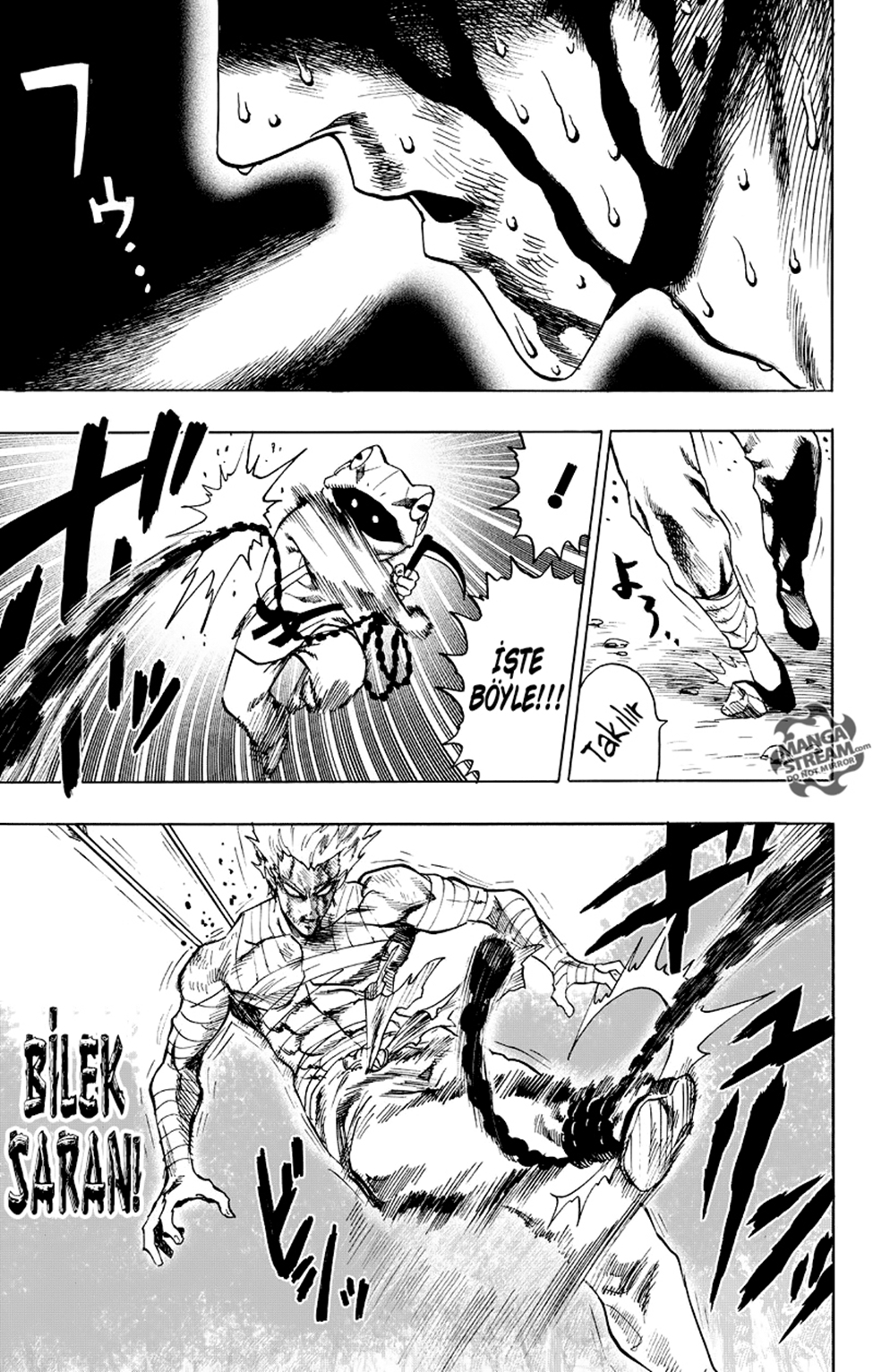 Read Tek Yumruk TR Manga Online