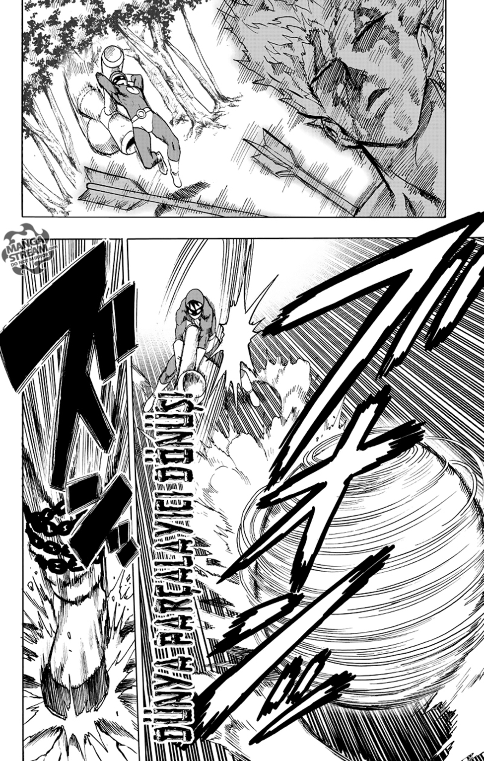 Read Tek Yumruk TR Manga Online