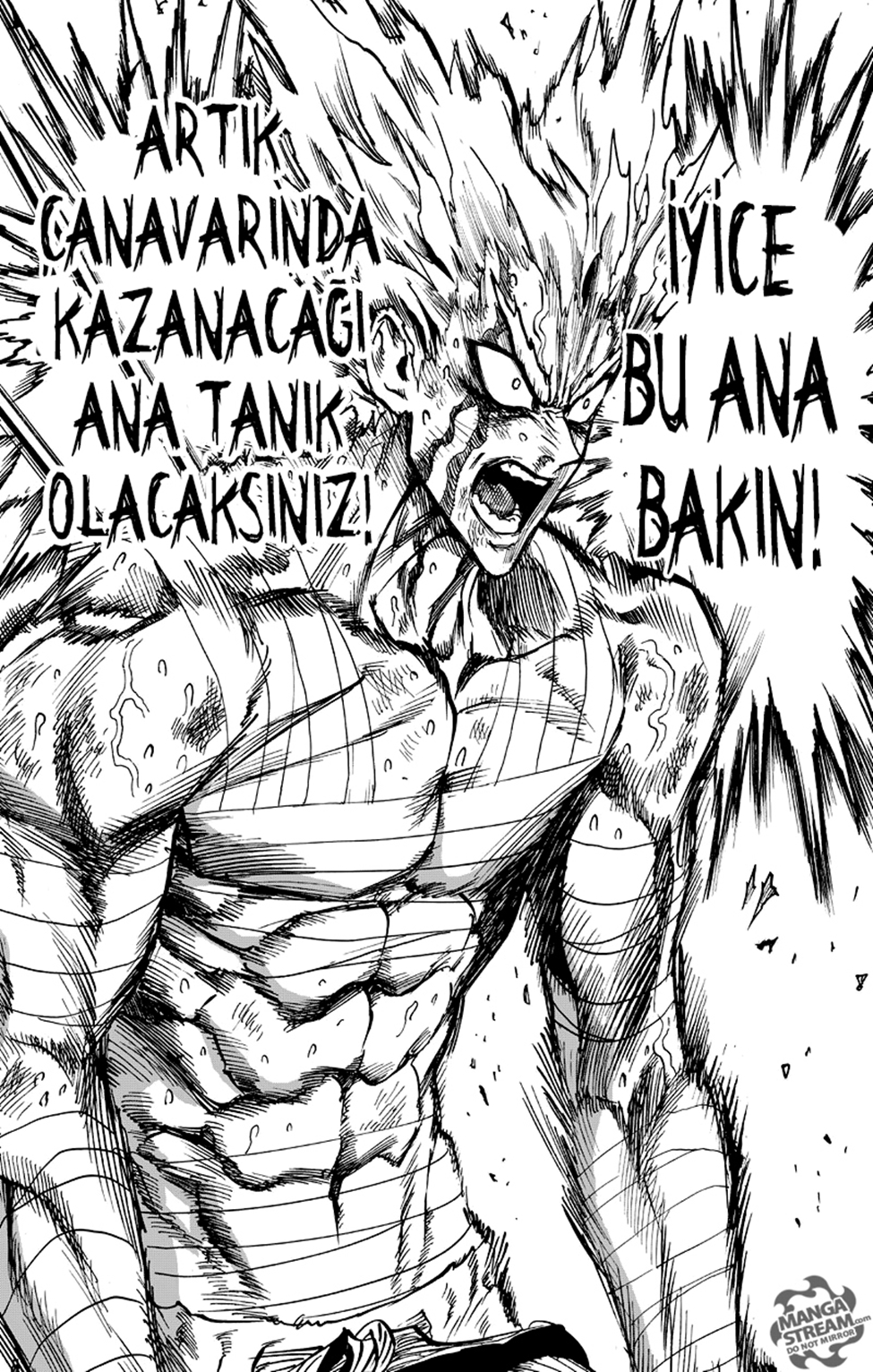 Read Tek Yumruk TR Manga Online