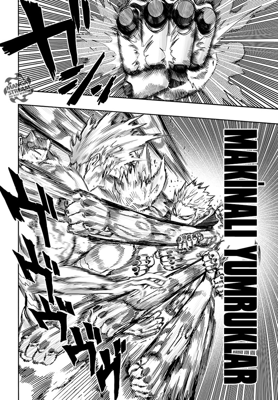 Read Tek Yumruk TR Manga Online