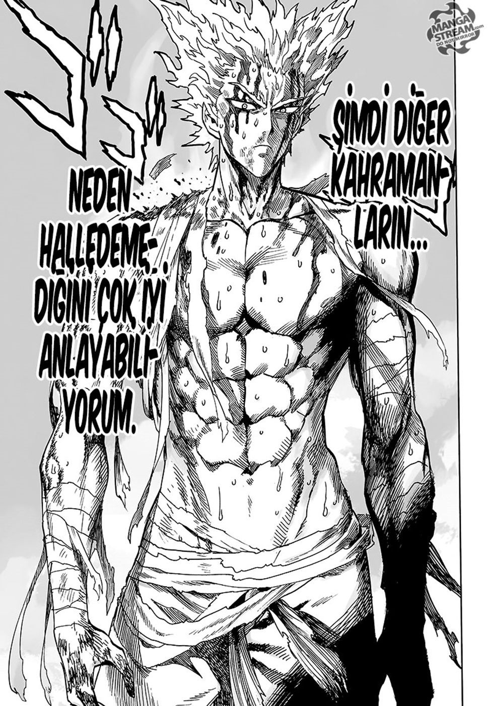 Read Tek Yumruk TR Manga Online
