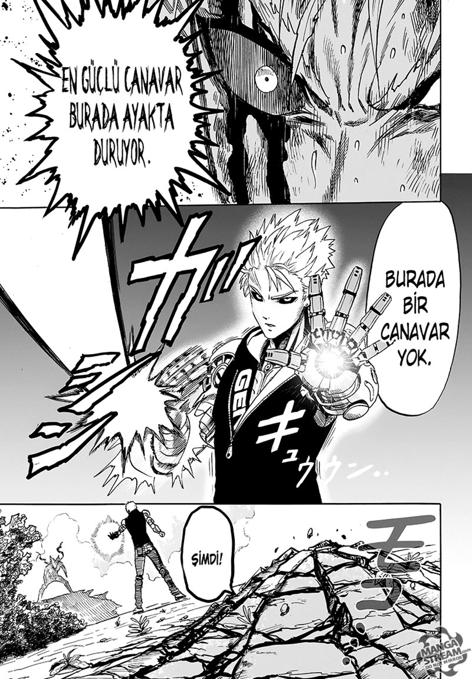 Read Tek Yumruk TR Manga Online