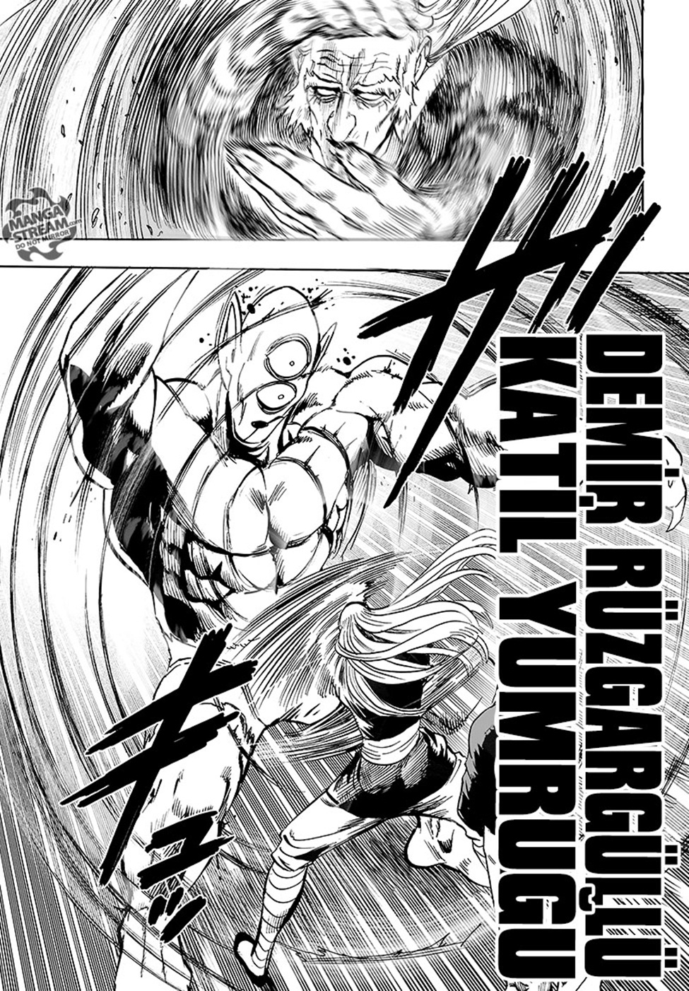 Read Tek Yumruk TR Manga Online
