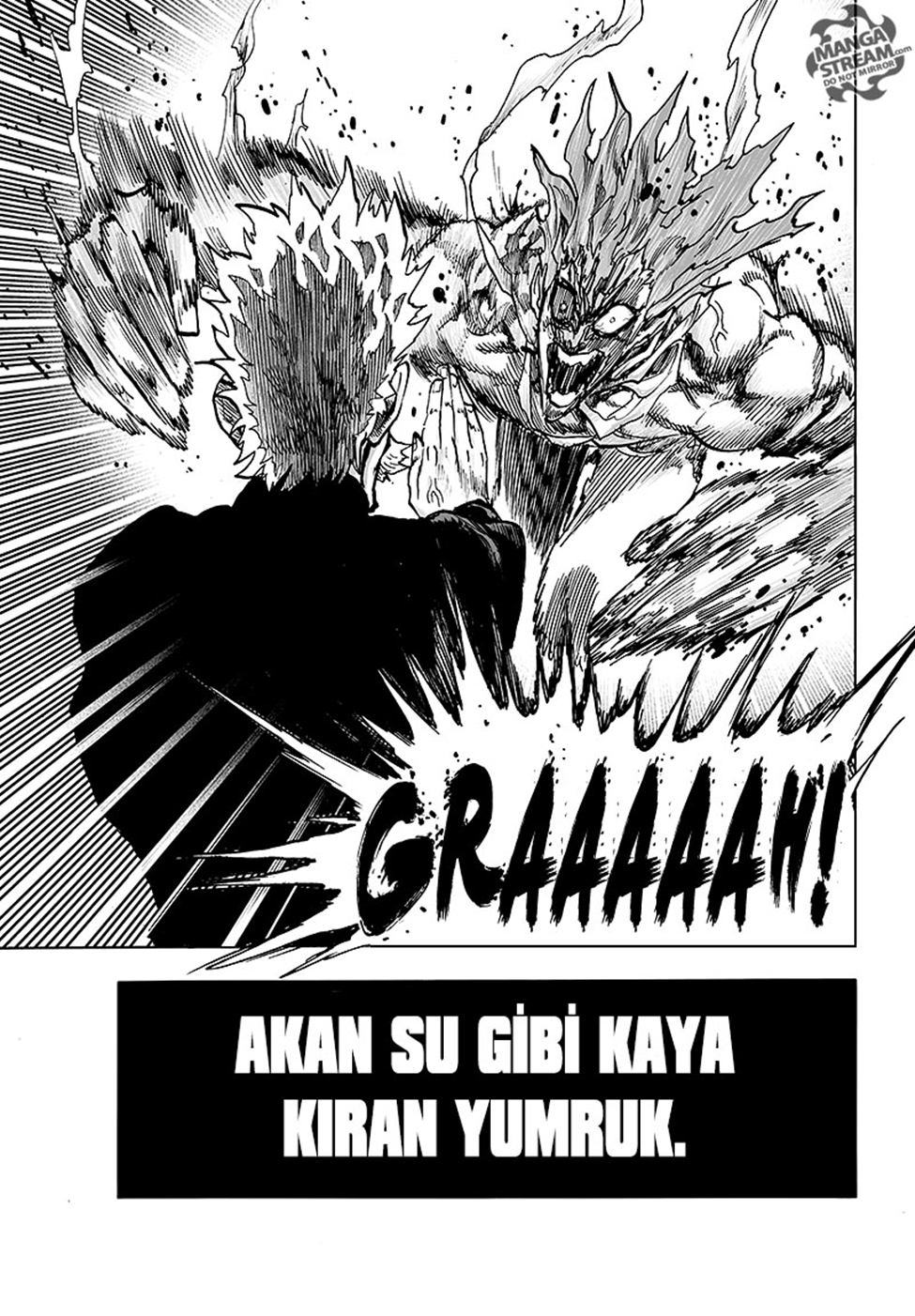 Read Tek Yumruk TR Manga Online