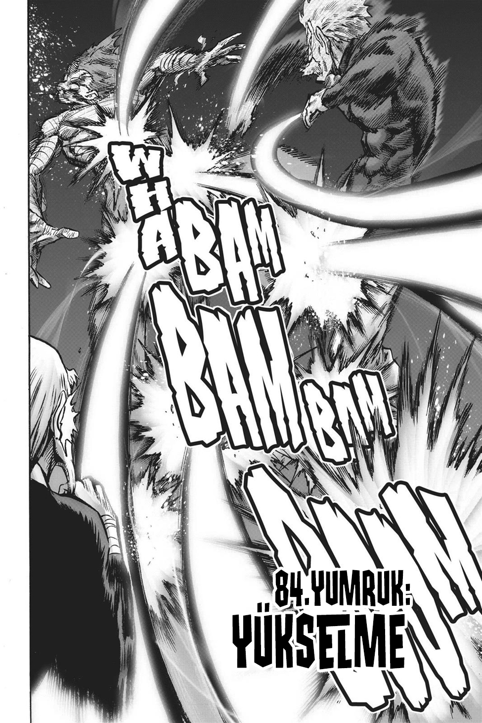 Read Tek Yumruk TR Manga Online