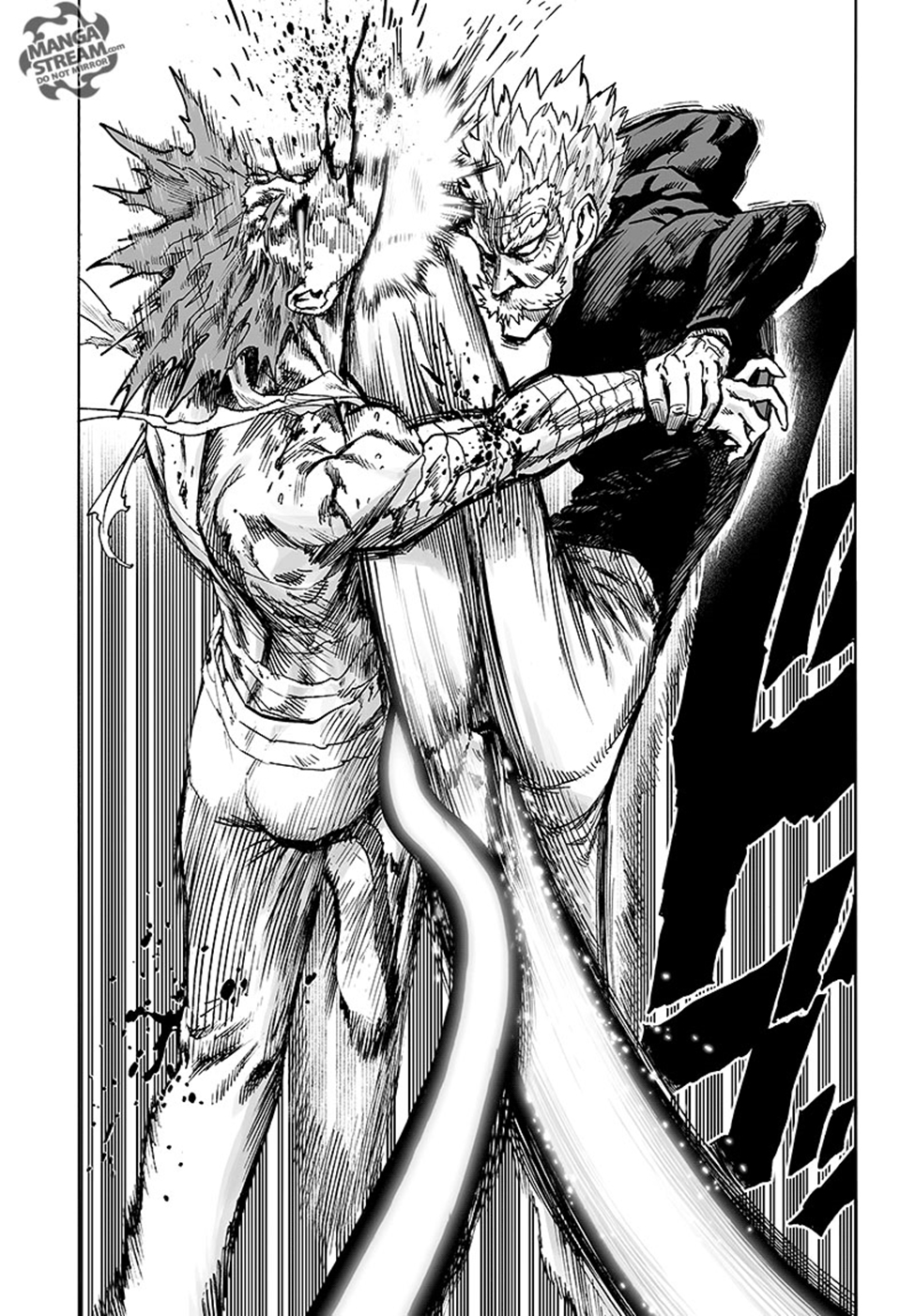 Read Tek Yumruk TR Manga Online