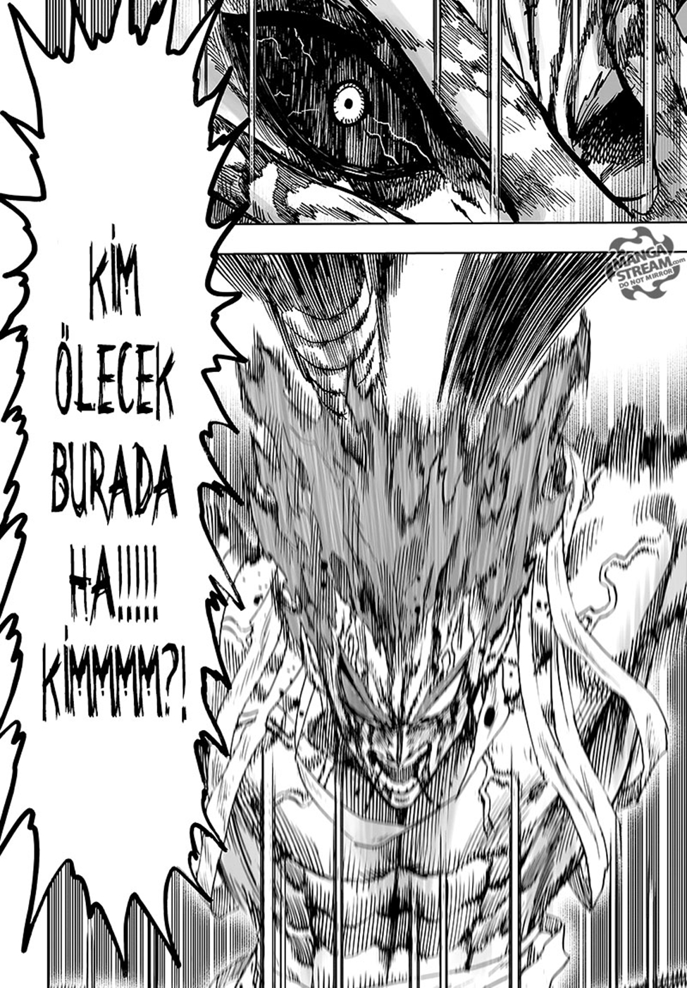 Read Tek Yumruk TR Manga Online