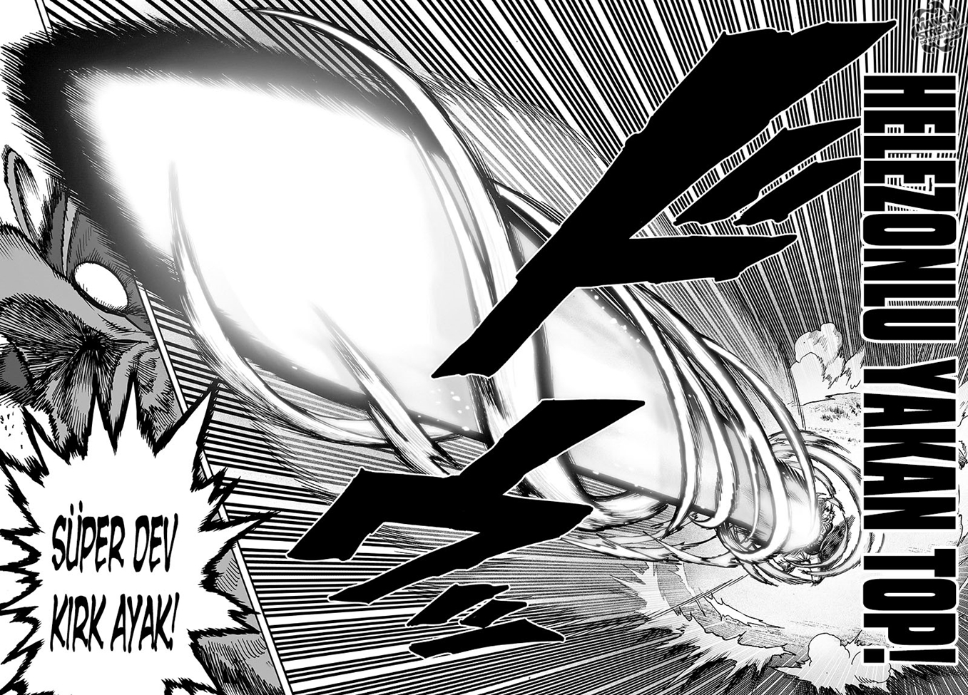 Read Tek Yumruk TR Manga Online