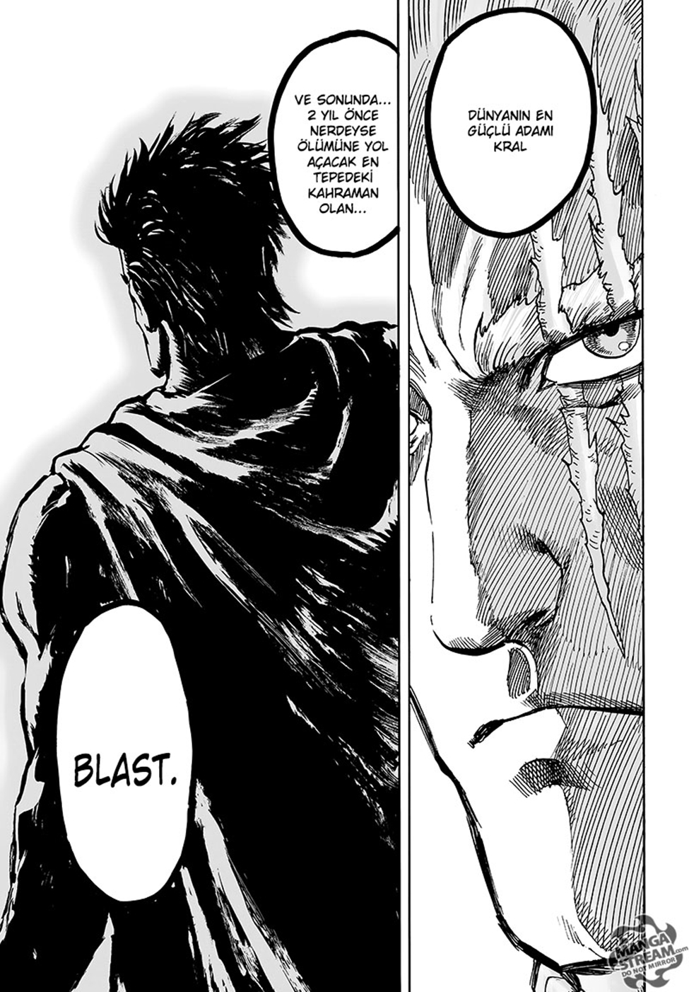 Read Tek Yumruk TR Manga Online