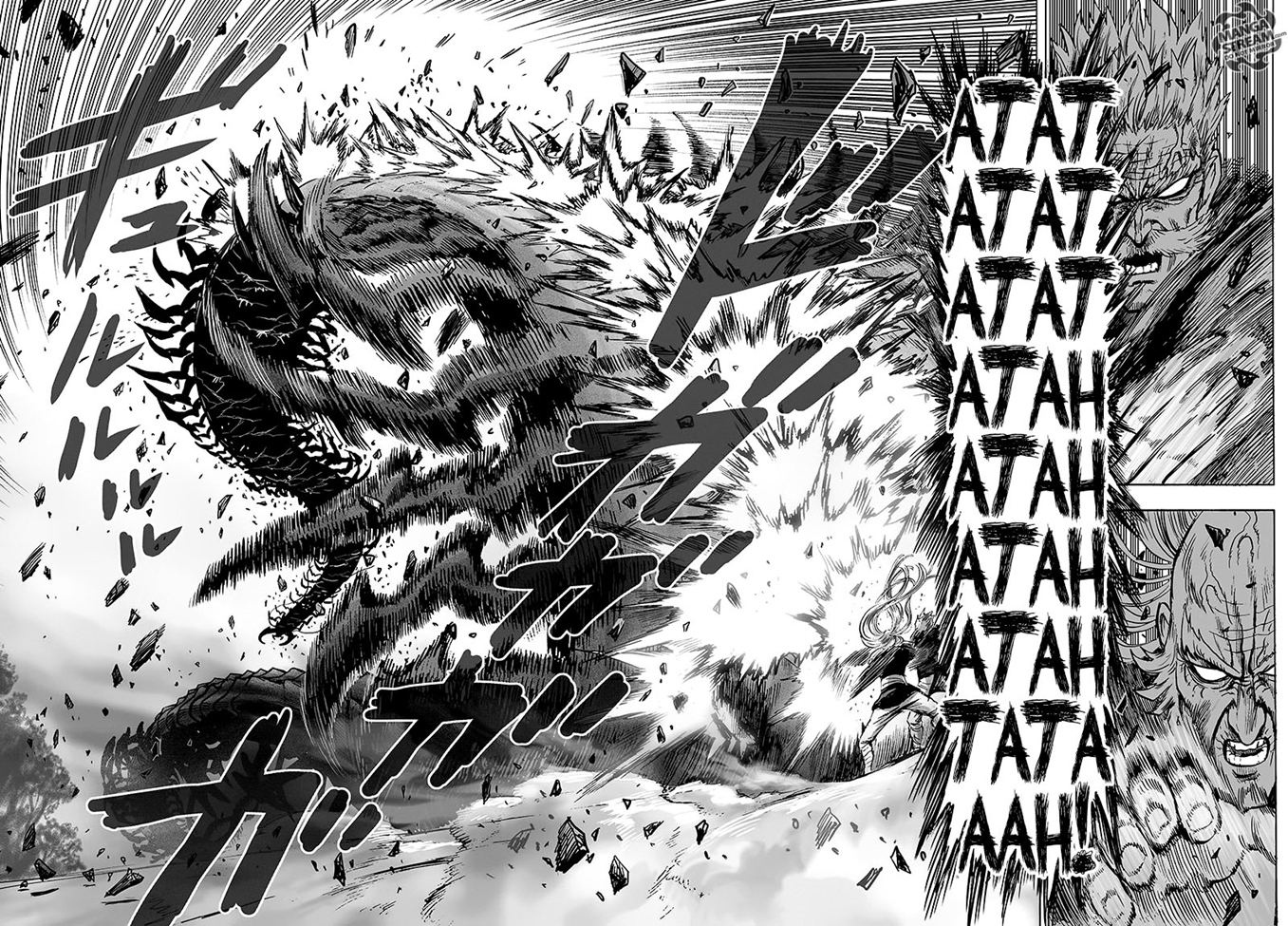 Read Tek Yumruk TR Manga Online