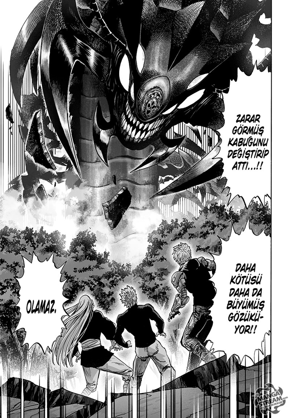 Read Tek Yumruk TR Manga Online