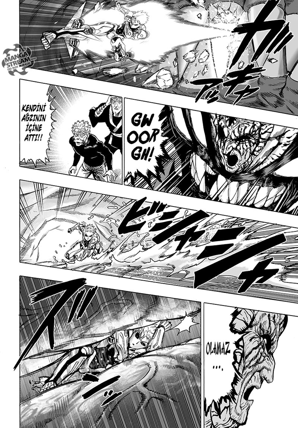 Read Tek Yumruk TR Manga Online